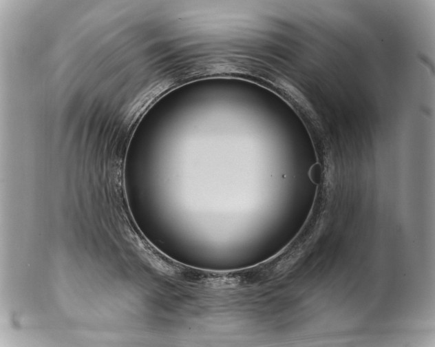 X0000102820793200808181245