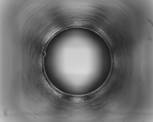 X0000102820794200808181245