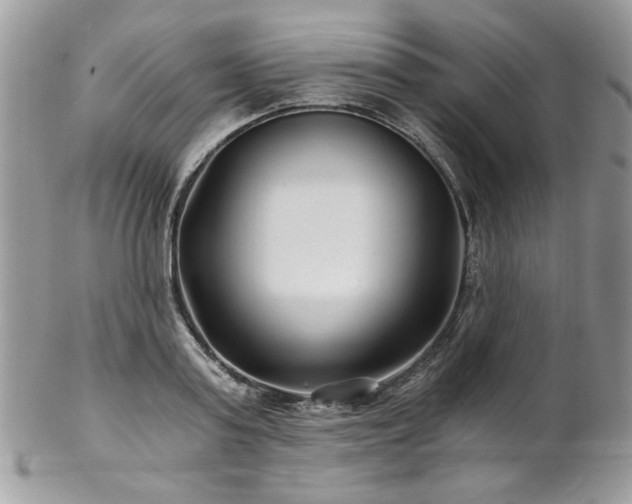 X0000102820795200808181245