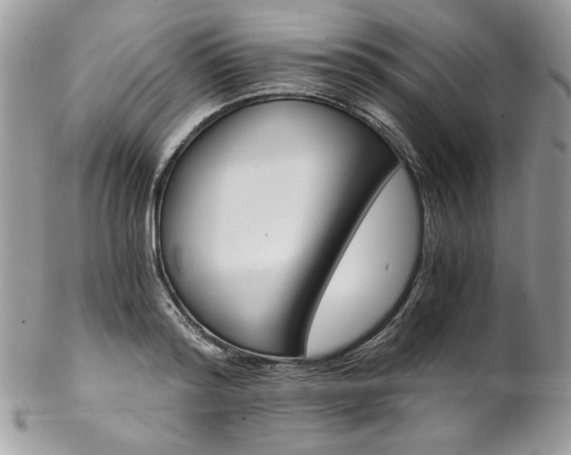 X0000102820796200808181245