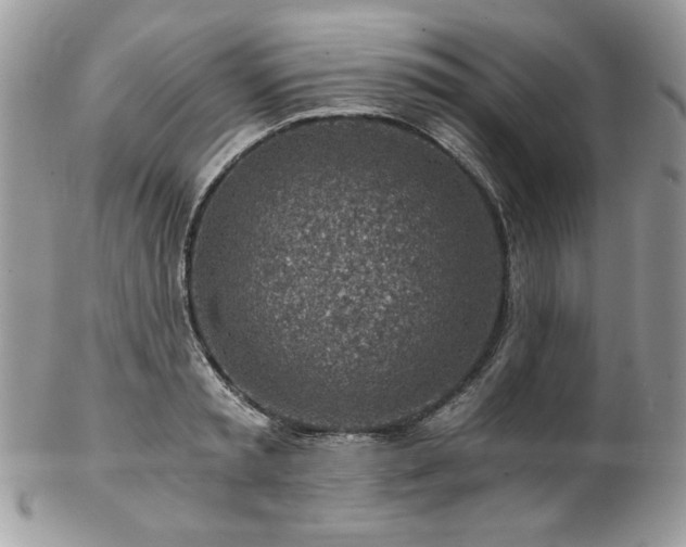 X0000102820797200808181245