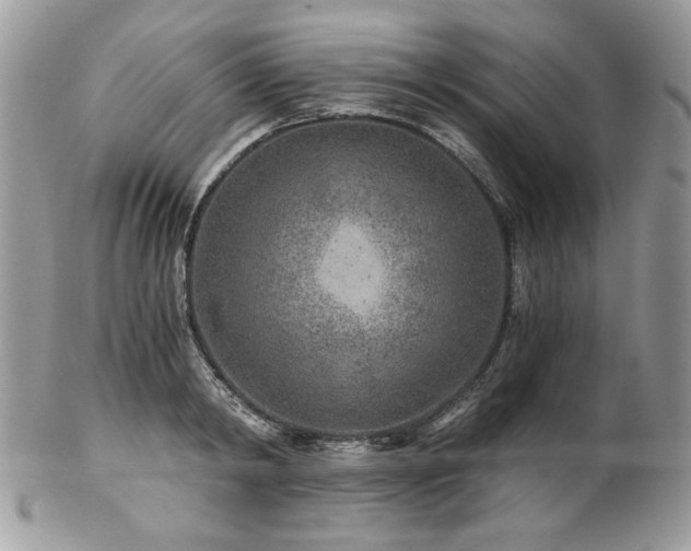 X0000102820798200808181245