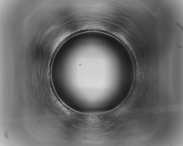 X0000102820799200808181245