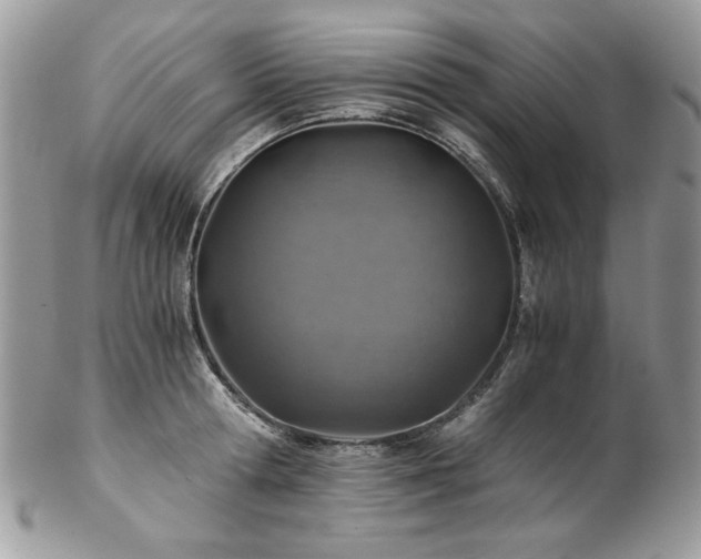 X0000102820802200808181244