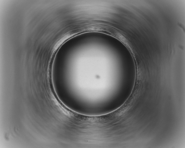 X0000102820803200808181244