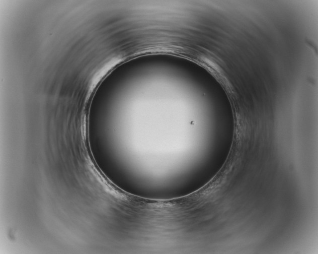 X0000102820804200808181244