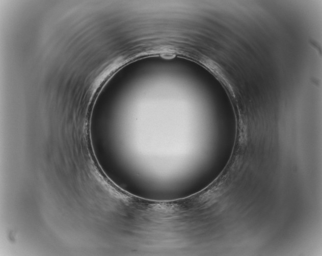 X0000102820805200808181244