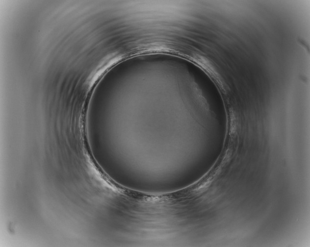 X0000102820806200808181244
