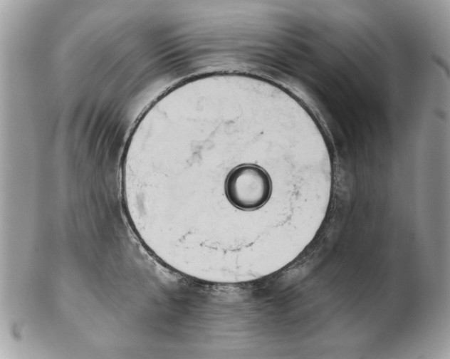 X0000102820807200808181244