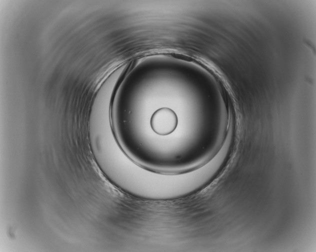 X0000102820809200808181244