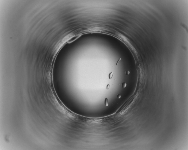 X0000102820810200808181244