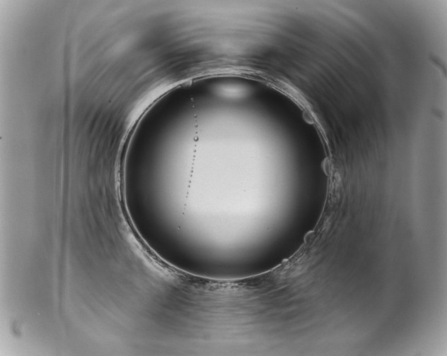 X0000102820811200808181244