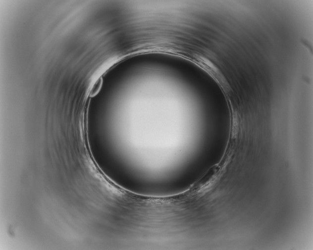 X0000102820812200808181244