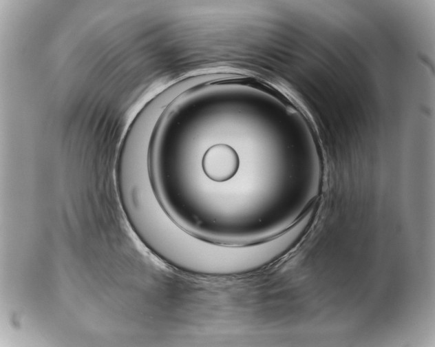 X0000102820813200808181244