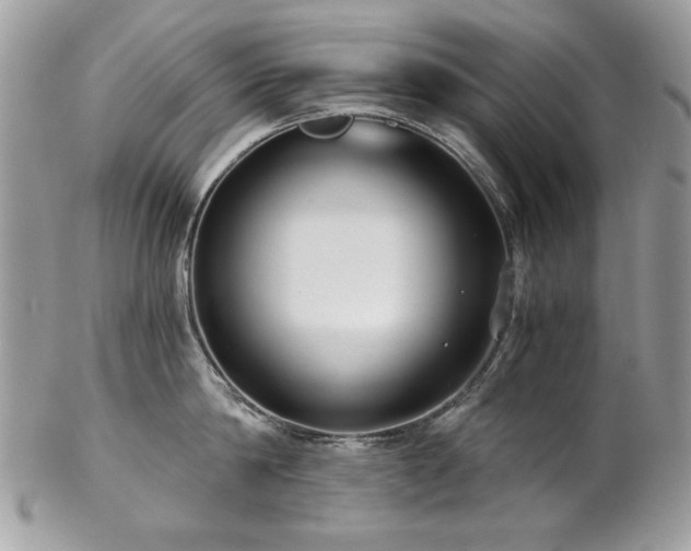 X0000102820814200808181244