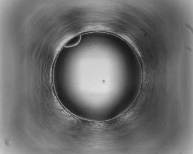 X0000102820815200808181244