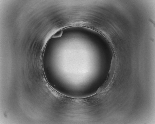 X0000102820816200808181244