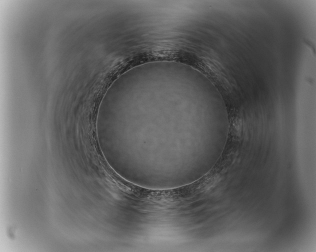 X0000102820817200808181244