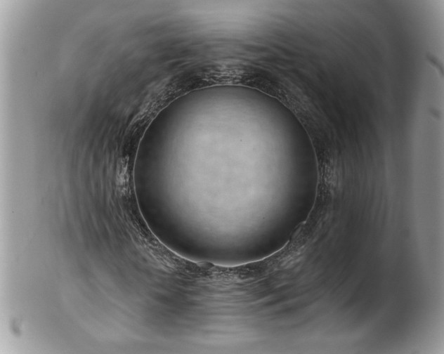 X0000102820818200808181244
