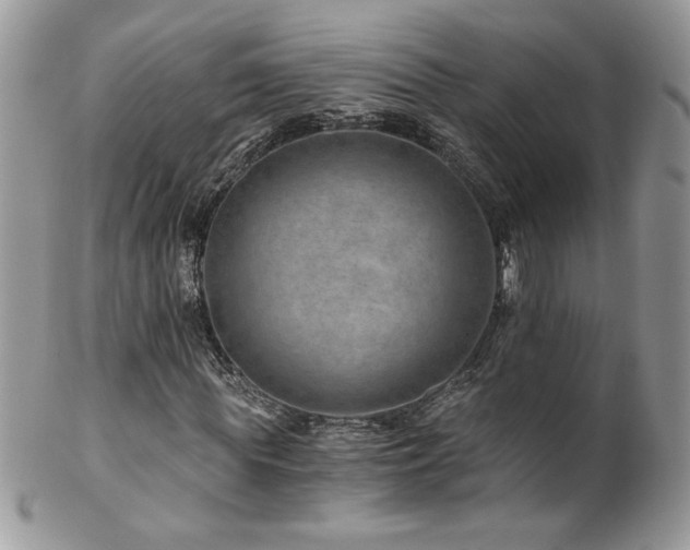 X0000102820819200808181244