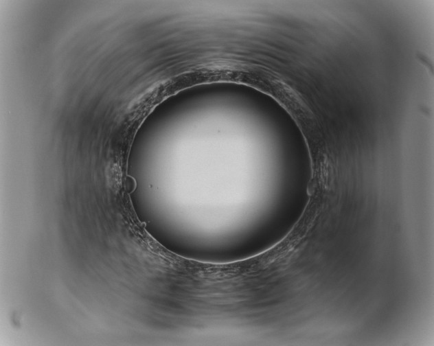 X0000102820821200808181244