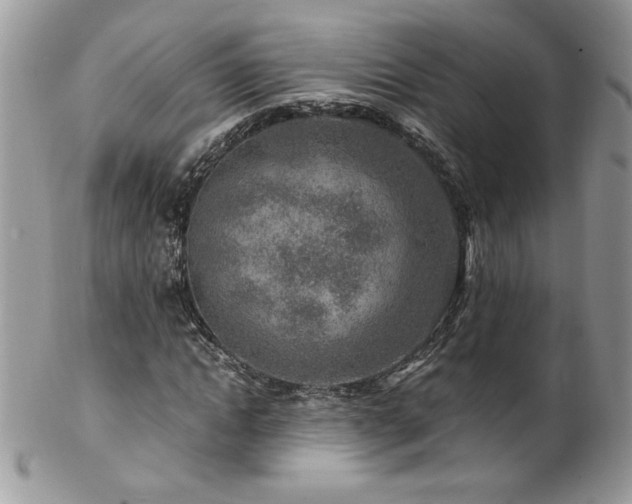 X0000102820822200808181244