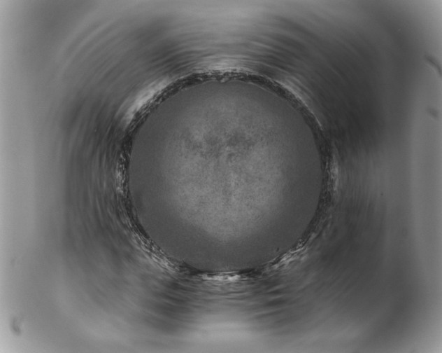 X0000102820823200808181244