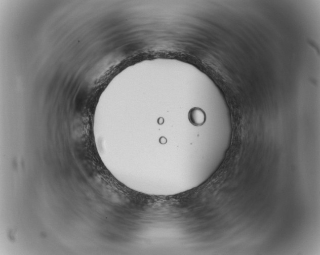 X0000102820824200808181244