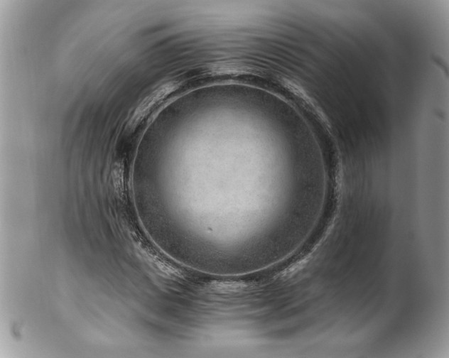 X0000102820825200808181244