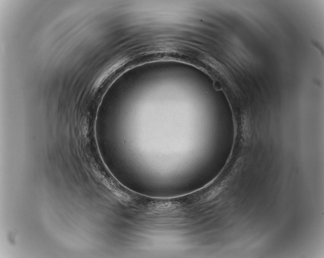 X0000102820826200808181244