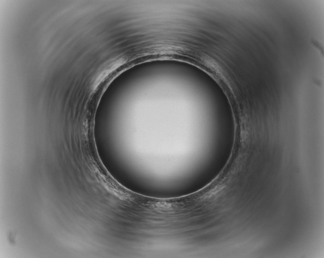 X0000102820827200808181244