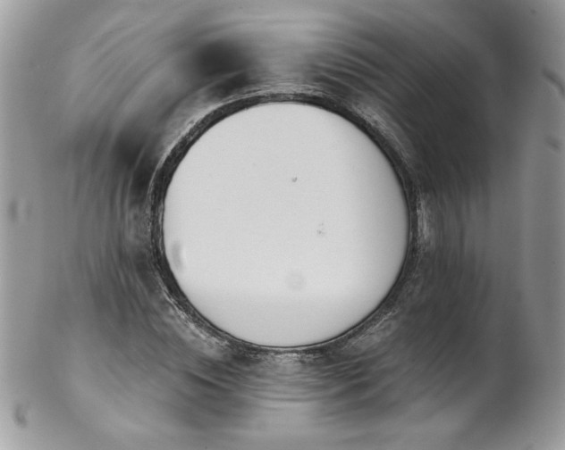 X0000102820828200808181244