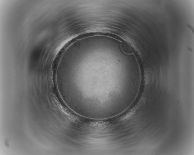 X0000102820830200808181244
