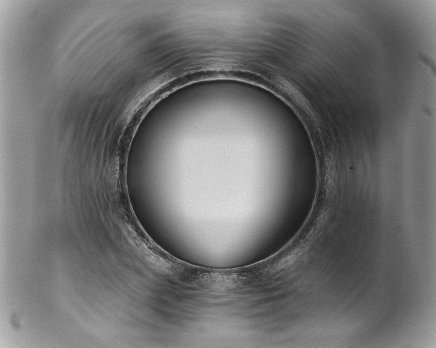 X0000102820831200808181244