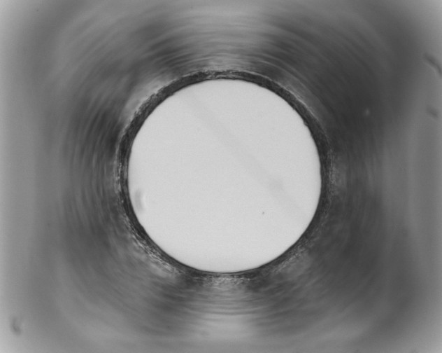 X0000102820832200808181244