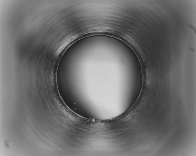 X0000102820834200808181244