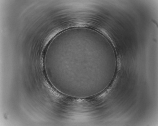 X0000102820835200808181244