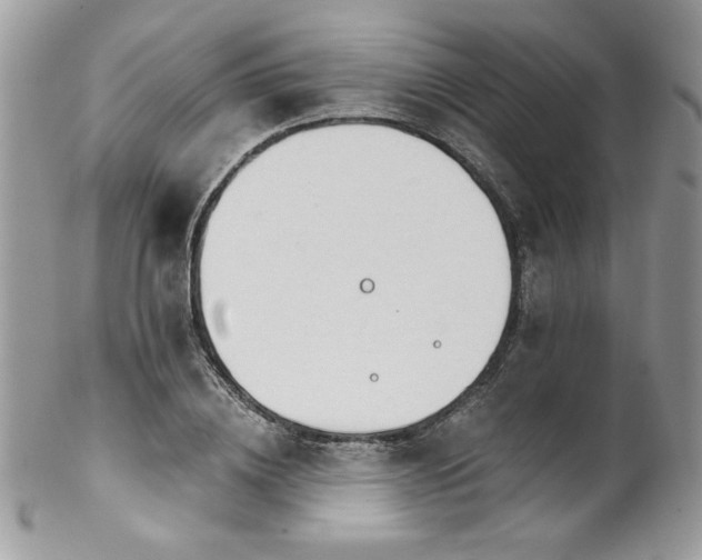 X0000102820836200808181244