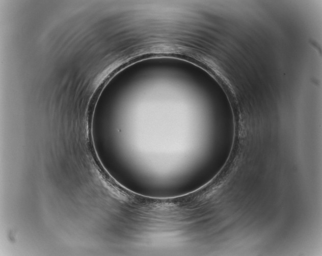 X0000102820837200808181244