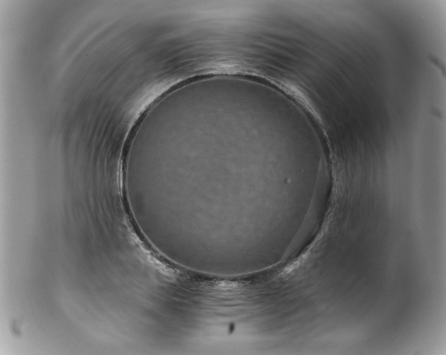 X0000102820839200808181244