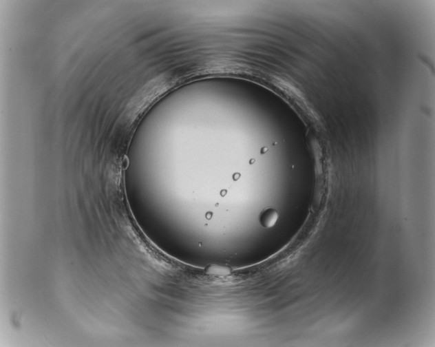 X0000102820841200808181244