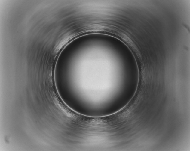 X0000102820842200808181244