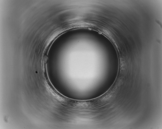 X0000102820843200808181244