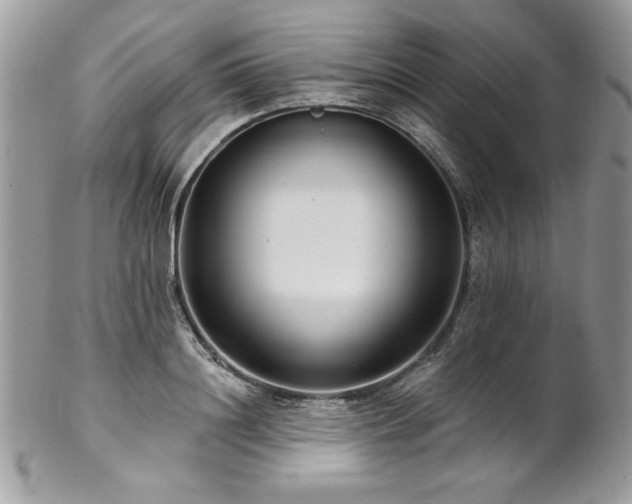 X0000102820844200808181244