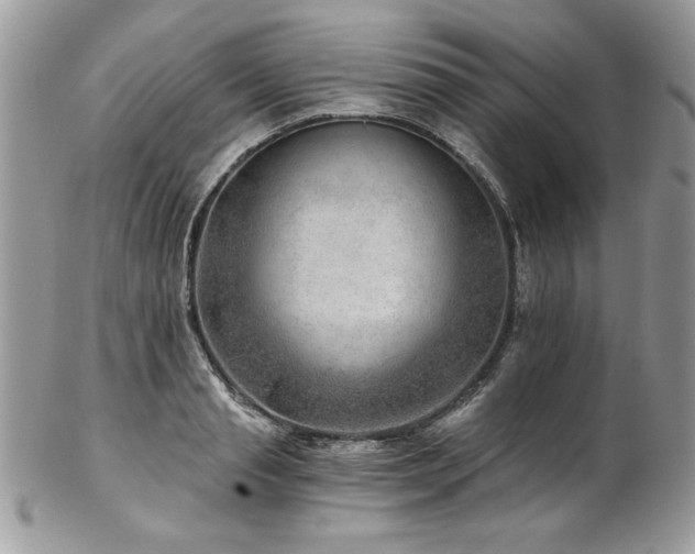X0000102820845200808181244