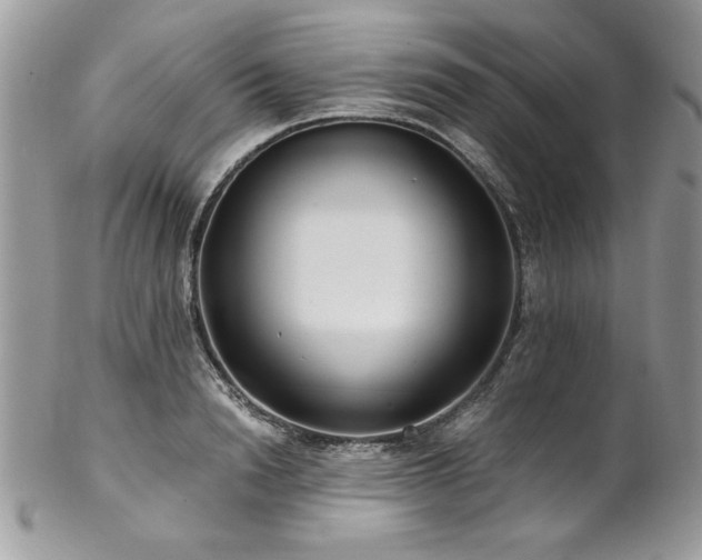 X0000102820846200808181244