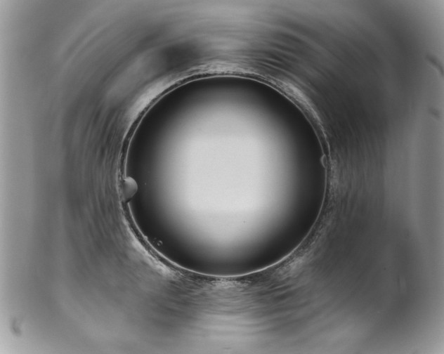 X0000102820847200808181244