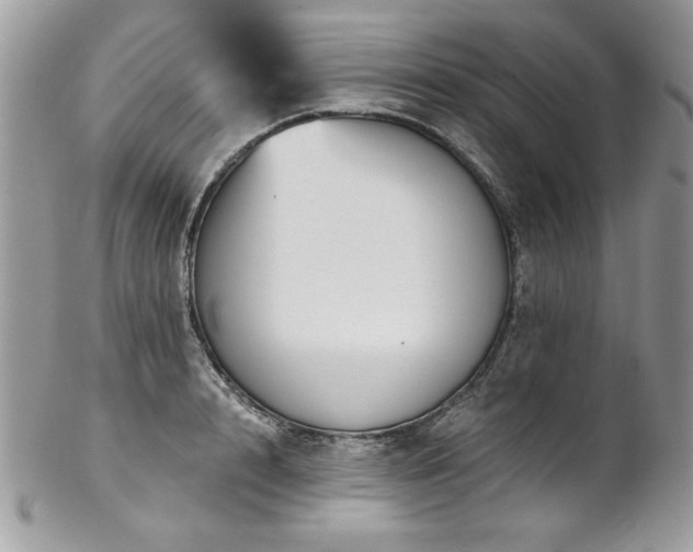 X0000102820848200808181244