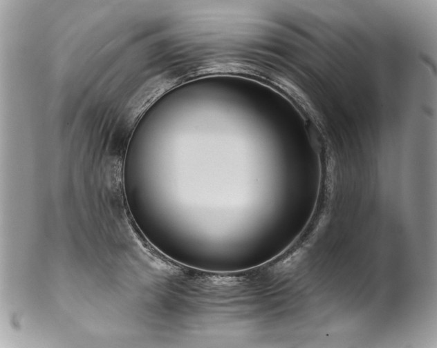 X0000102820849200808181244