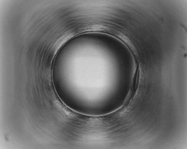 X0000102820850200808181244